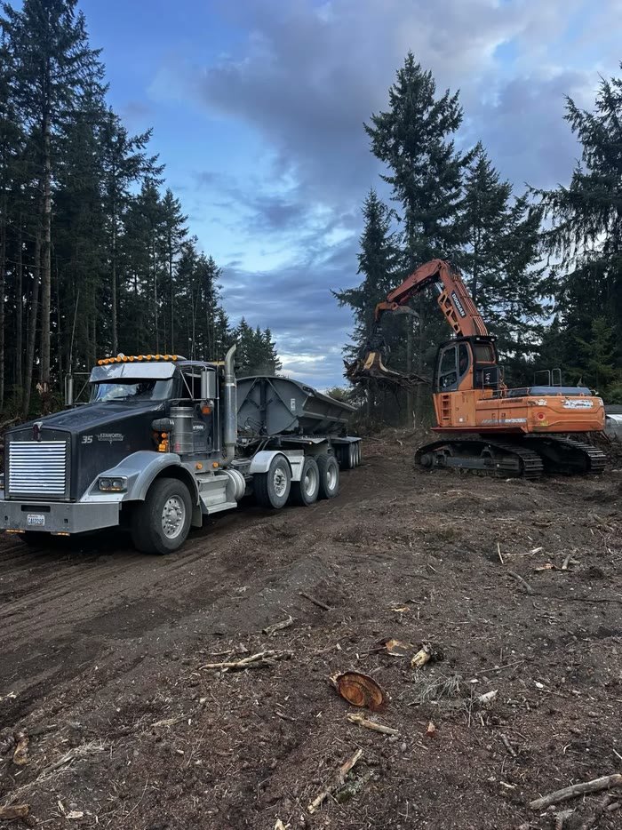 A black Kenworth side-dump truck waits on freshly cleared ground while an orange excavator lifts a stump, tall firs behind.