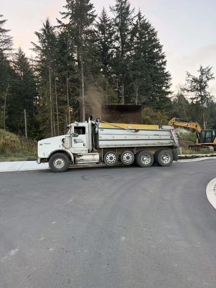 Barnes Hauling truck 38 parked on a new road while an excavator bucket tips a load of dirt into its bed, tall firs behind.
